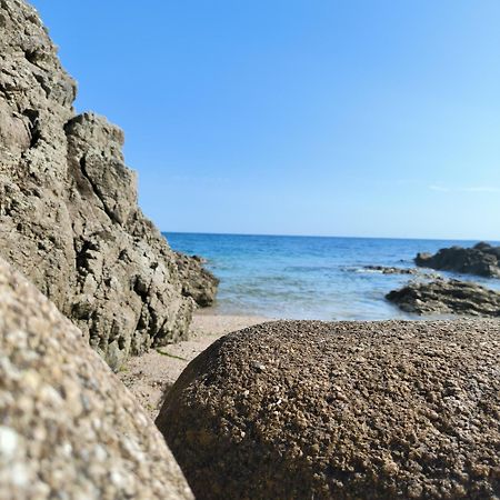 Le 3 Appartement Vue Mer Avec Jardin 100M De La Plage Et De La Thalasso Concarneau Exteriör bild