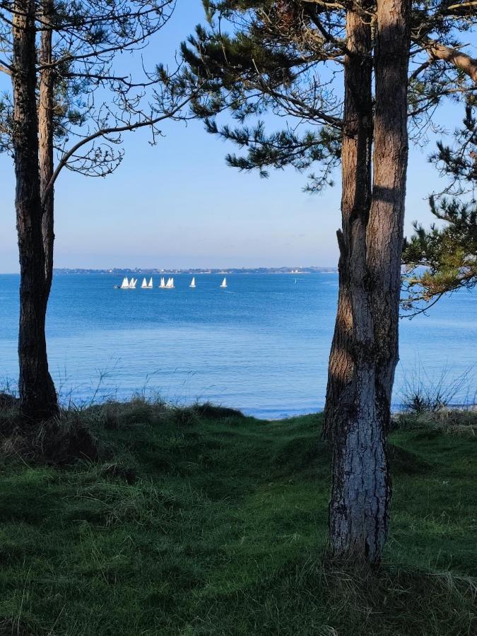 Le 3 Appartement Vue Mer Avec Jardin 100M De La Plage Et De La Thalasso Concarneau Exteriör bild