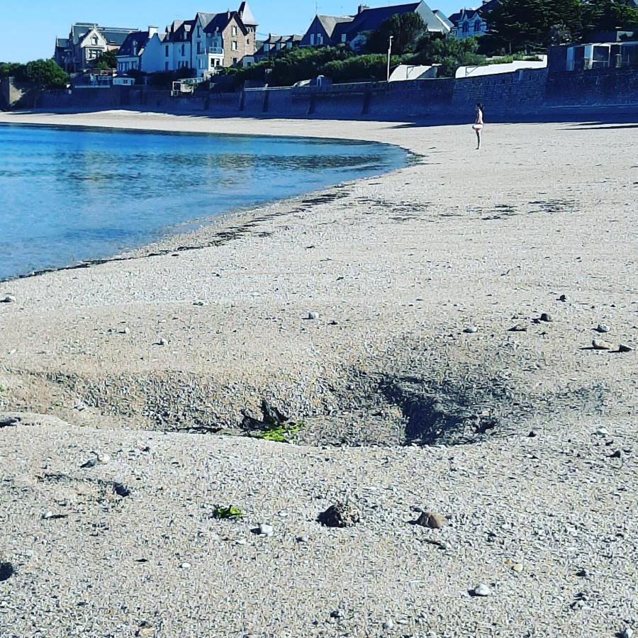 Le 3 Appartement Vue Mer Avec Jardin 100M De La Plage Et De La Thalasso Concarneau Exteriör bild