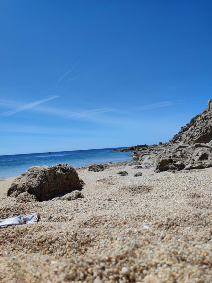 Le 3 Appartement Vue Mer Avec Jardin 100M De La Plage Et De La Thalasso Concarneau Exteriör bild