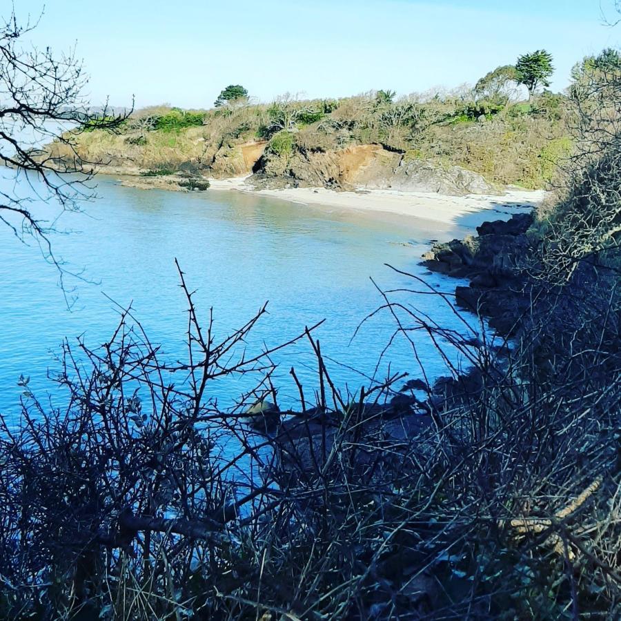 Le 3 Appartement Vue Mer Avec Jardin 100M De La Plage Et De La Thalasso Concarneau Exteriör bild