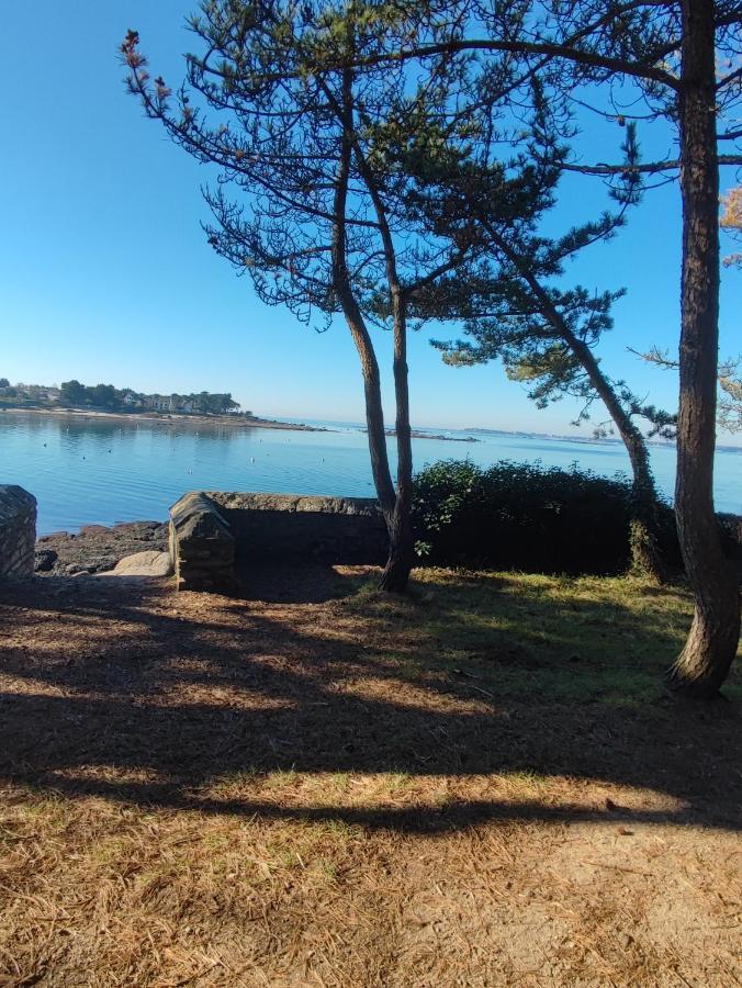 Le 3 Appartement Vue Mer Avec Jardin 100M De La Plage Et De La Thalasso Concarneau Exteriör bild